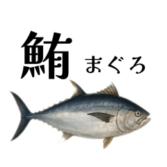 [LINEスタンプ] 魚へん図鑑