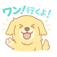[LINEスタンプ] ゆるふわゴールデンレトリバー