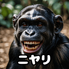 [LINEスタンプ] 表情豊かな動物スタンプ
