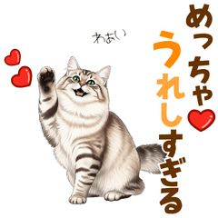 [LINEスタンプ] ふわもこサイベリアンの気持ちスタンプ