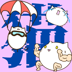 [LINEスタンプ] にゃんきち！一生使えるかわちい猫スタンプ