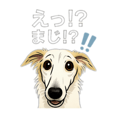 [LINEスタンプ] ボルゾイのいる暮らし