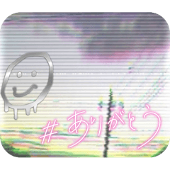 [LINEスタンプ] 普通に使い倒せる写真スタンプ