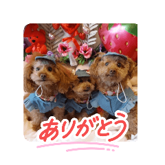 [LINEスタンプ] ni-na ③