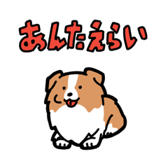 [LINEスタンプ] 日常でも使える！ボーダーコリー！白赤
