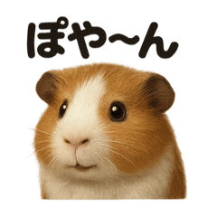 [LINEスタンプ] リアルなモルモットの日常感情日記ライン