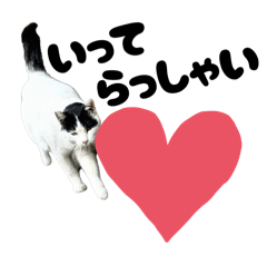 [LINEスタンプ] のら猫大福の生活③