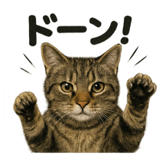 [LINEスタンプ] リアルなキジトラ猫の日常感情表現日記