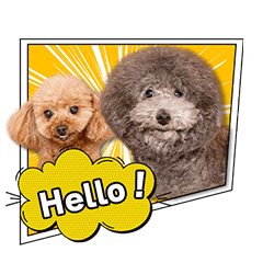 [LINEスタンプ] 田中家のラブ＆ハッピーちゃん