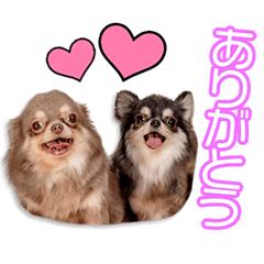 [LINEスタンプ] 夏原家のイザ＆マウスちゃん