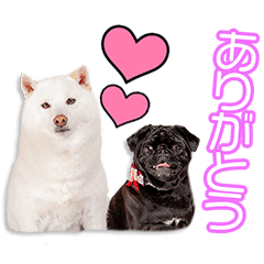 [LINEスタンプ] 内田家のツム＆小雪ちゃん