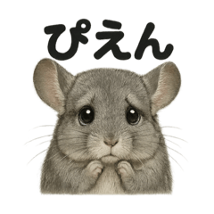[LINEスタンプ] リアルなチンチラの日常感情日記ライン