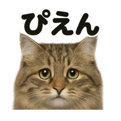[LINEスタンプ] リアルなサイベリアンの日常感情日記