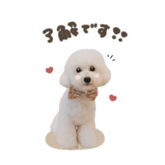 [LINEスタンプ] メイちゃん♡スタンダード