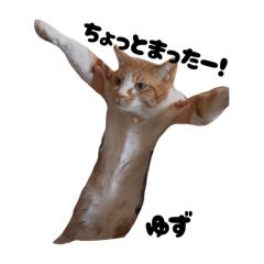 [LINEスタンプ] 三兄弟と愉快な保護猫達シリーズ⑤