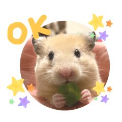 [LINEスタンプ] Y.animals