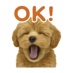 [LINEスタンプ] まろの毎日スタンプ（まるぷー♀）背景なし