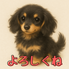 [LINEスタンプ] ふんわりダックス3姉妹