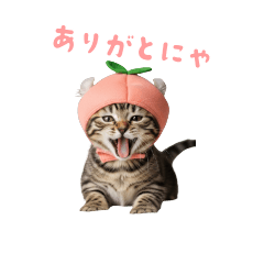 [LINEスタンプ] 着ぐるみねこちゃん(日常)