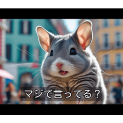[LINEスタンプ] 映画風 チンチラ