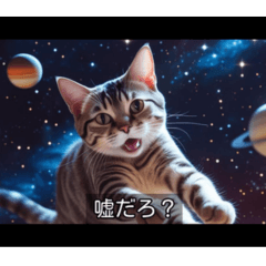 [LINEスタンプ] 映画風 ねこ