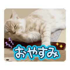 [LINEスタンプ] ゆずスタンプだにゃん