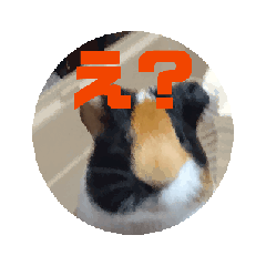 [LINEスタンプ] マヨモルスタンプ