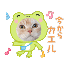 [LINEスタンプ] ゆずスタンプだにゃん1