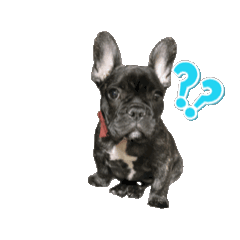 [LINEスタンプ] Bobmove