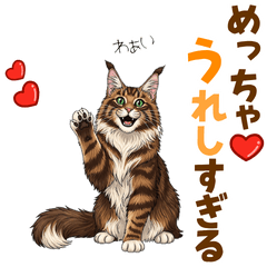 [LINEスタンプ] 気持ち伝わる♡メインクーンのひとこと