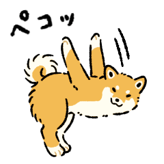 [LINEスタンプ] 今日も柴犬が可愛い5 -赤柴-
