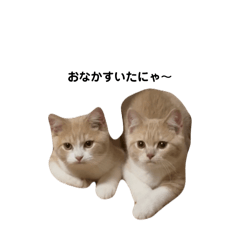 [LINEスタンプ] フウリン