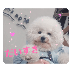 [LINEスタンプ] 動くMint♡♡♡