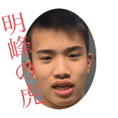[LINEスタンプ] 明峰の虎