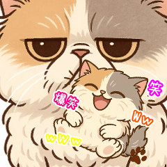 [LINEスタンプ] エキゾチックにかわいい猫スタンプ文字入り