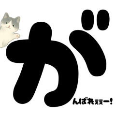 [LINEスタンプ] 白黒ねこのドン！と応援スタンプ