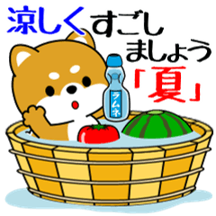 [LINEスタンプ] 飛び出す！豆柴「夏を感じる」