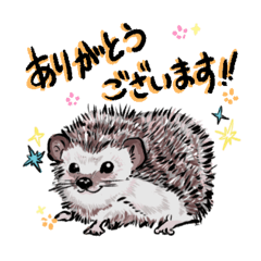 [LINEスタンプ] 動物たちのわちゃわちゃ日常会話スタンプ