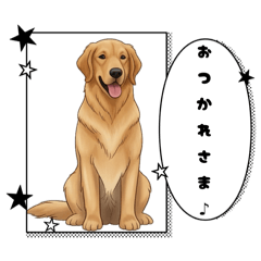 [LINEスタンプ] 『ゴールデンレトリバー』のスタンプ