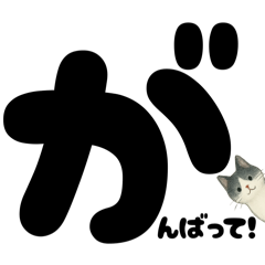 [LINEスタンプ] 元気★白黒ねこのエールスタンプ