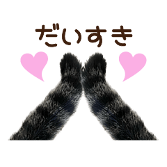 [LINEスタンプ] 大好きな恋人に嫉妬するキジトラ猫のしっぽ