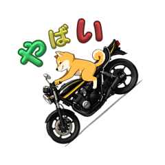 [LINEスタンプ] 芝犬が旧車バイクでツーリング