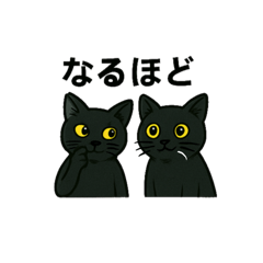 [LINEスタンプ] 黒猫兄弟ココピー③