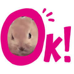 [LINEスタンプ] ぼくはコムギ！