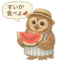 [LINEスタンプ] 季節で使える4種の水彩フクロウスタンプ