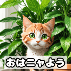 [LINEスタンプ] 植物と昼寝ネコスタンプ