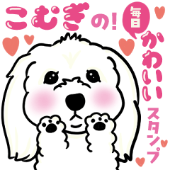 [LINEスタンプ] キュルルンかわいいこむぎスタンプ