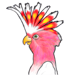 [LINEスタンプ] なんだか派手なクルマサカオウム
