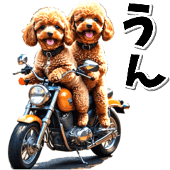 [LINEスタンプ] 即返信♡バイク好き トイプードル