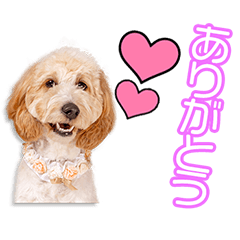 [LINEスタンプ] 原家のりのちゃん
